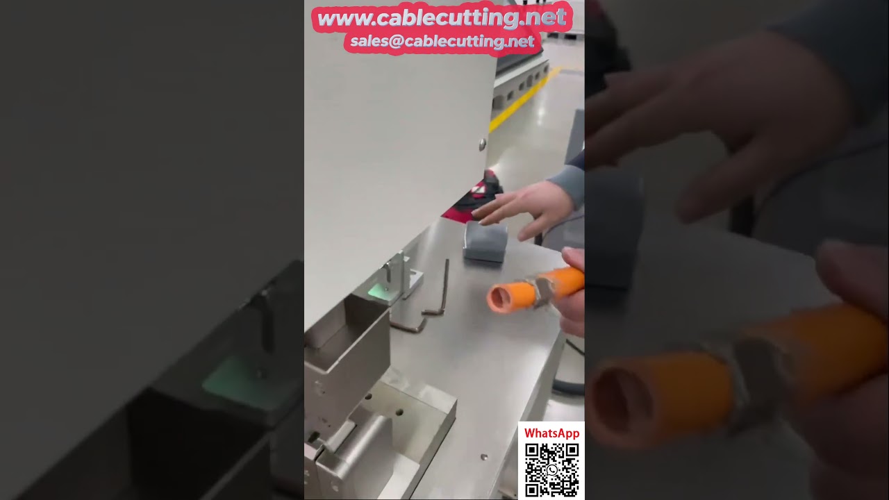 Servomotor Wire Terminal Crimping Machine