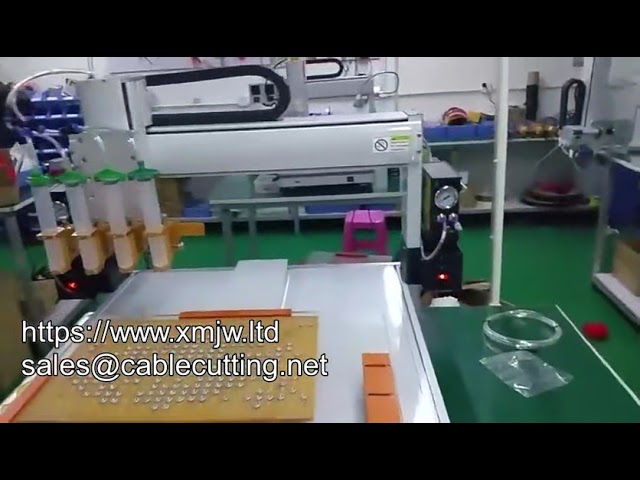 Customized Intelligent Automatic 3-Axis 4-Axis Glue Dispensing Machine